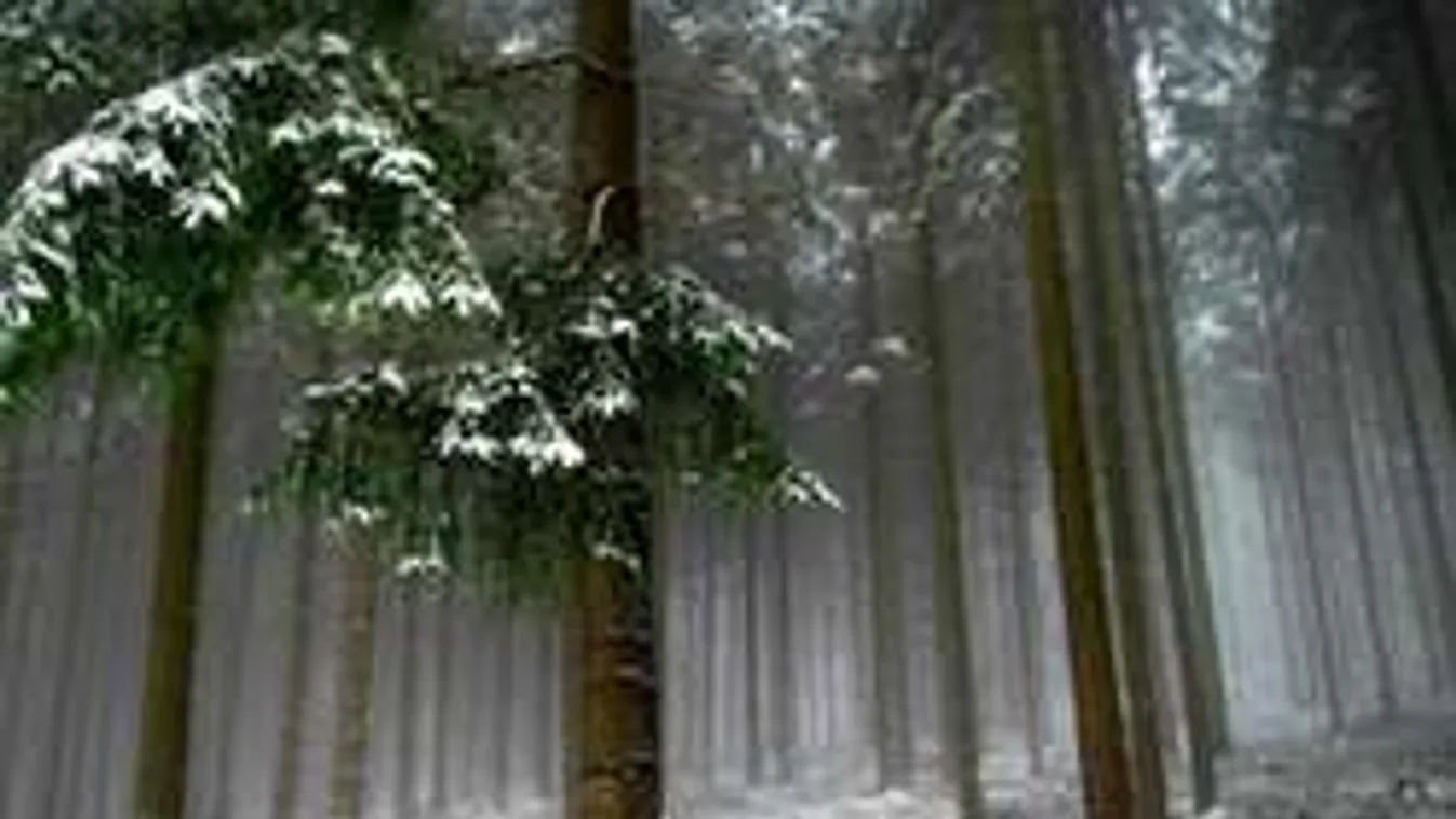 Brutális fordulatot vesz szilveszterkor az időjárás