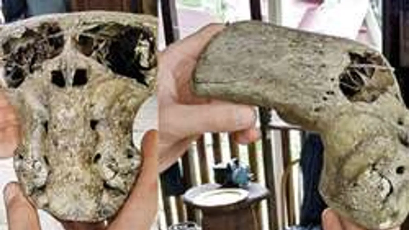 Hátborzongató lény koponyáját tárták fel - idegen civilizációra gyanakodnak