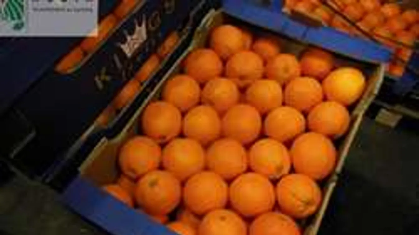 3,5 tonna narancsot semmisített meg a Nébih - videó