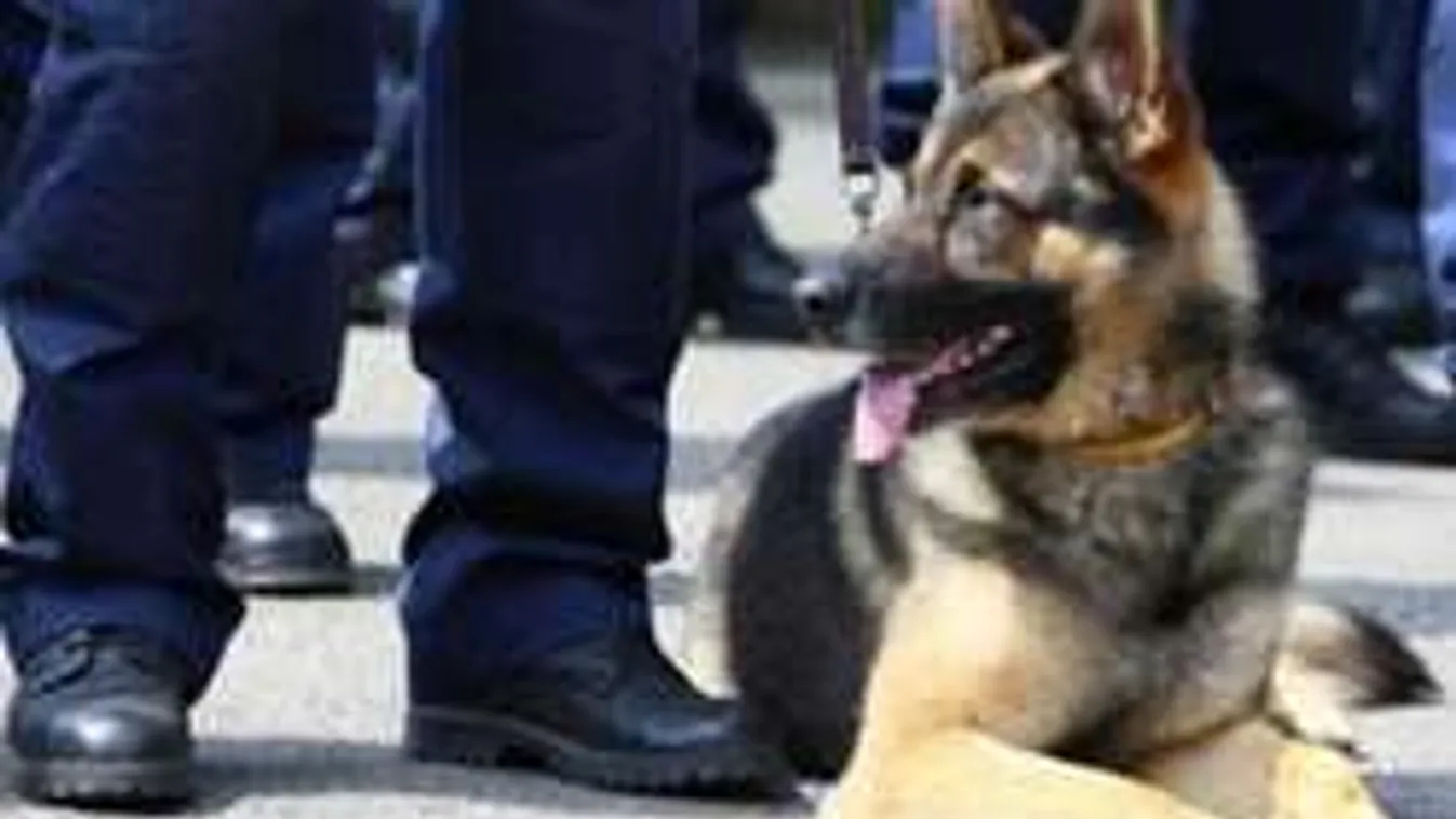 Így kapta el a bűnözőket Niza, a rendőrkutya! - Fotó