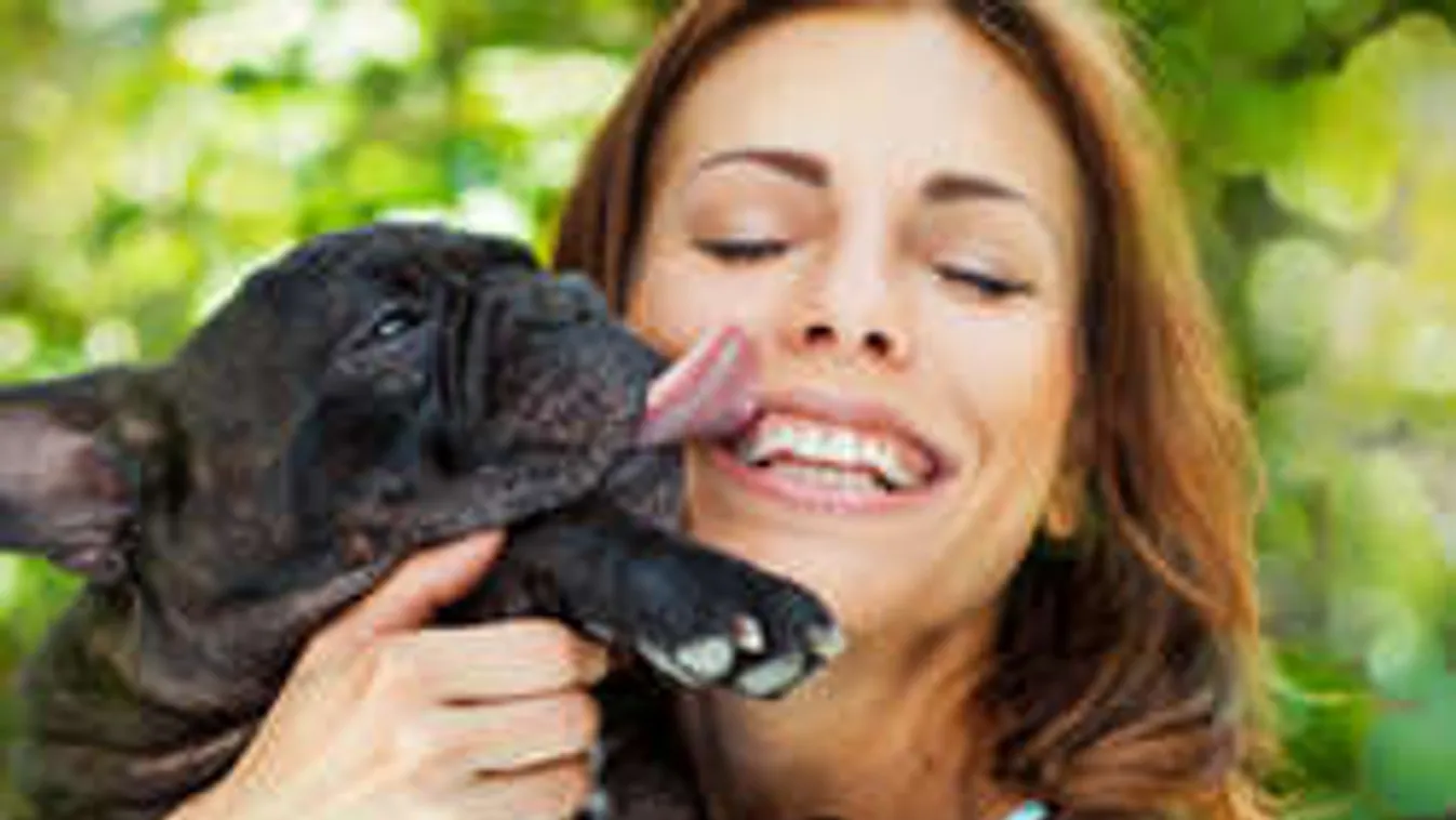 Hihetetlen: így ismerik fel a kutyák az emberi érzelmeket