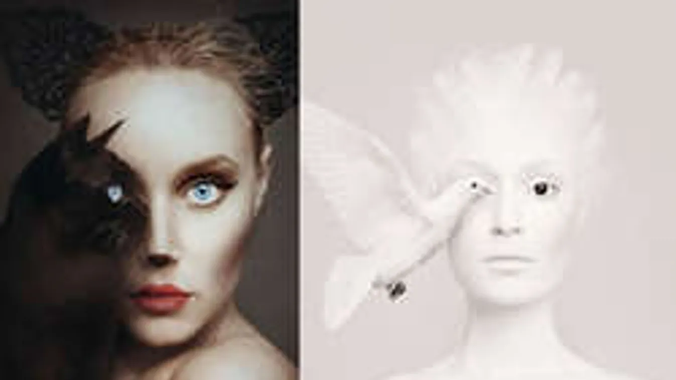 Magyar fotós képeit osztotta meg Paris Hilton