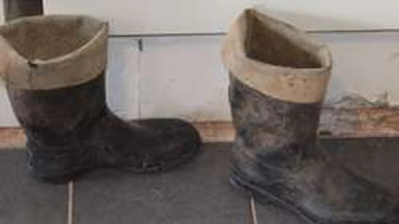 Hajnali baleset áldozatát próbálja azonosítani a rendőrség