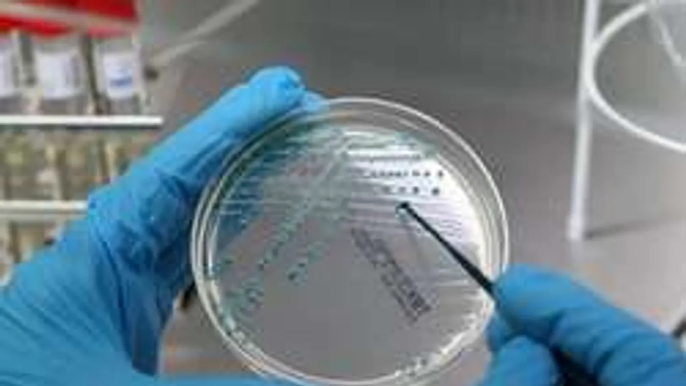 Óvodásokat fertőzött meg a Calicivírus Halásztelken