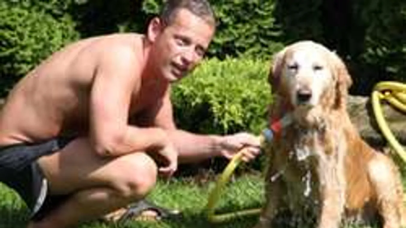 Norbi kutyája másodszor szökött vissza a túlvilág küszöbéről