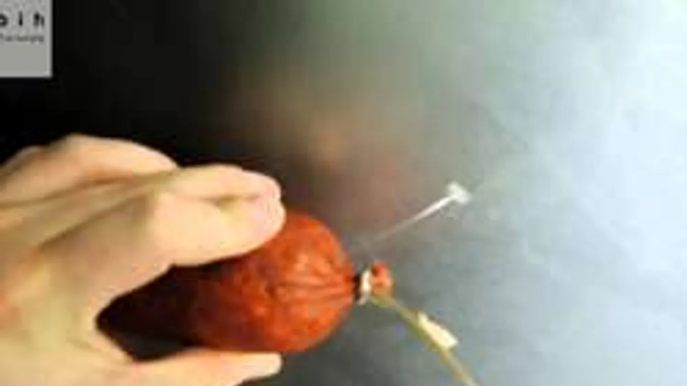 Vigyázz, több tonna lejárt, hamis szavatosságú hús a henteseknél!