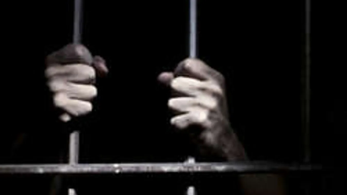 Megduplázták az anyja holttestét lefagyasztó férfi büntetését