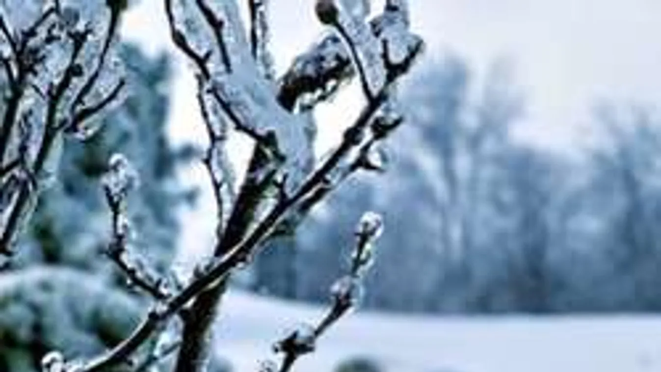 A keményebb tél még csak ezután jön! Egész évben fázni fogunk