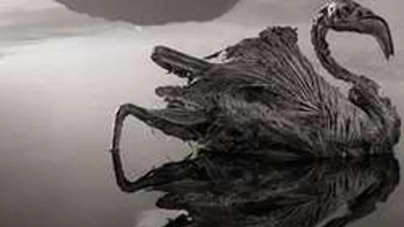 Minden élőlényt foglyul ejt és kíméletlenül megöl a gyilkos tó