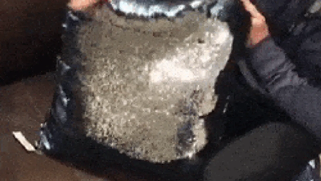 Ilyet még nem láttál! Elkezdi simogatni, és nem tud leállni... - videó