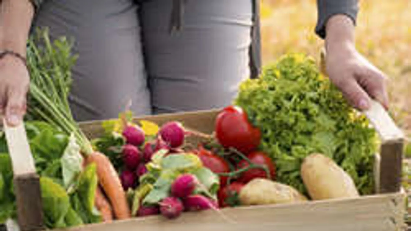 A természetes az új bio