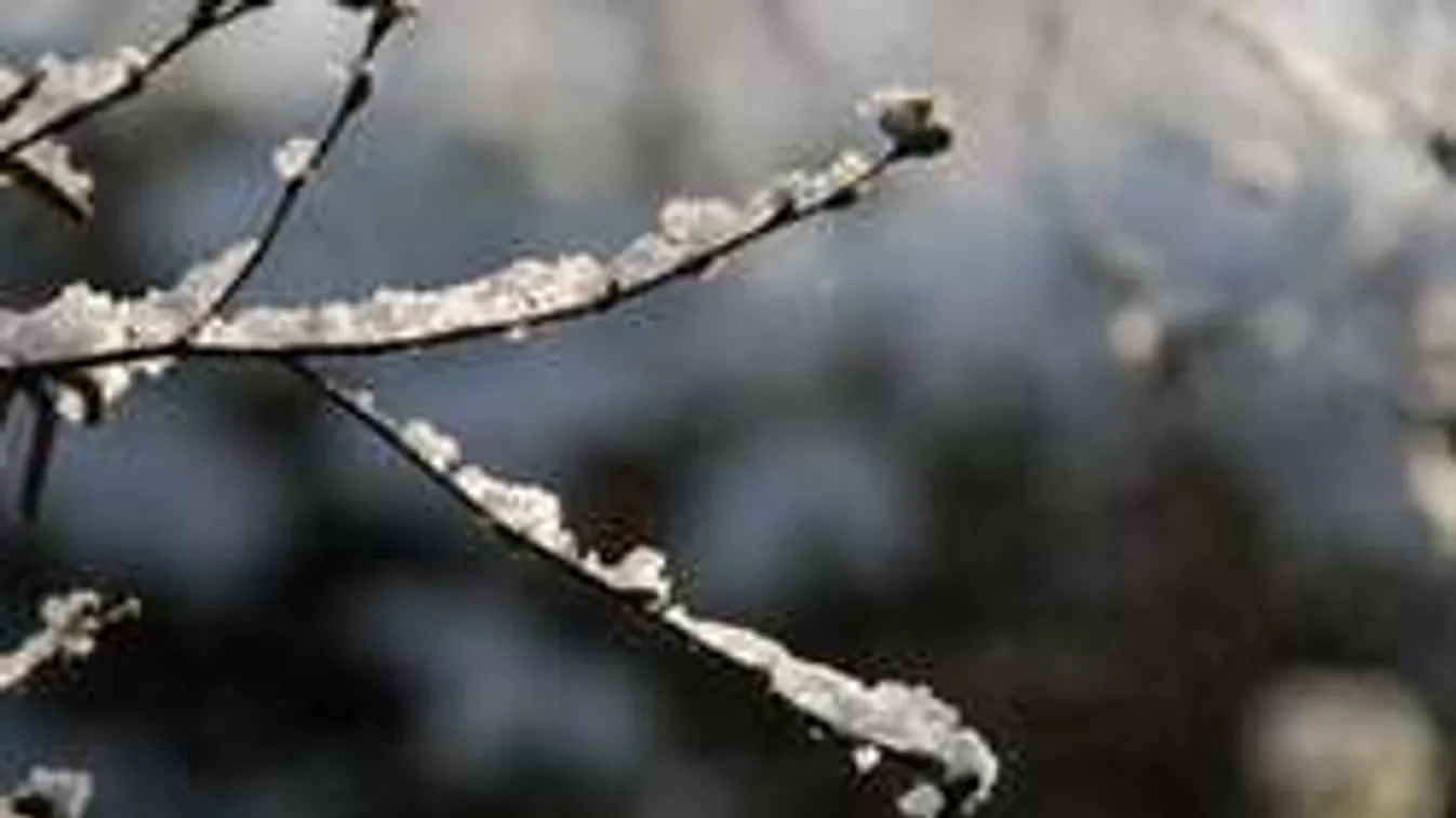 Meglepő fordulatot hoz a januári időjárás!