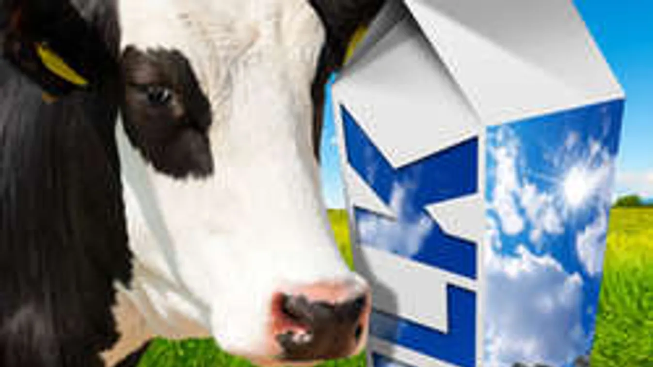 15-25 forinttal lehetne olcsóbb a tej!