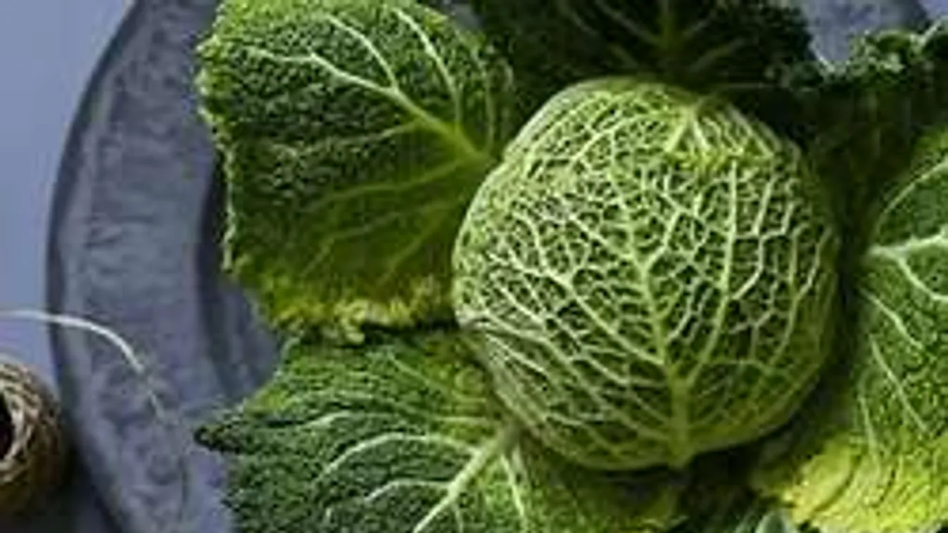 A legolcsóbb vitamint a piacon keresd