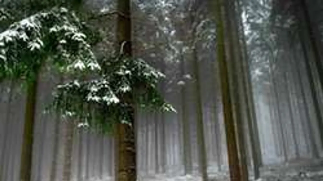 Ilyen lesz a február! A meteorológusok is megdöbbentek!