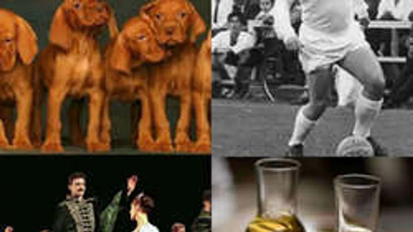 A külföldiek szerint erre lehetünk magyarokként a legbüszkébbek - meg fogsz lepődni