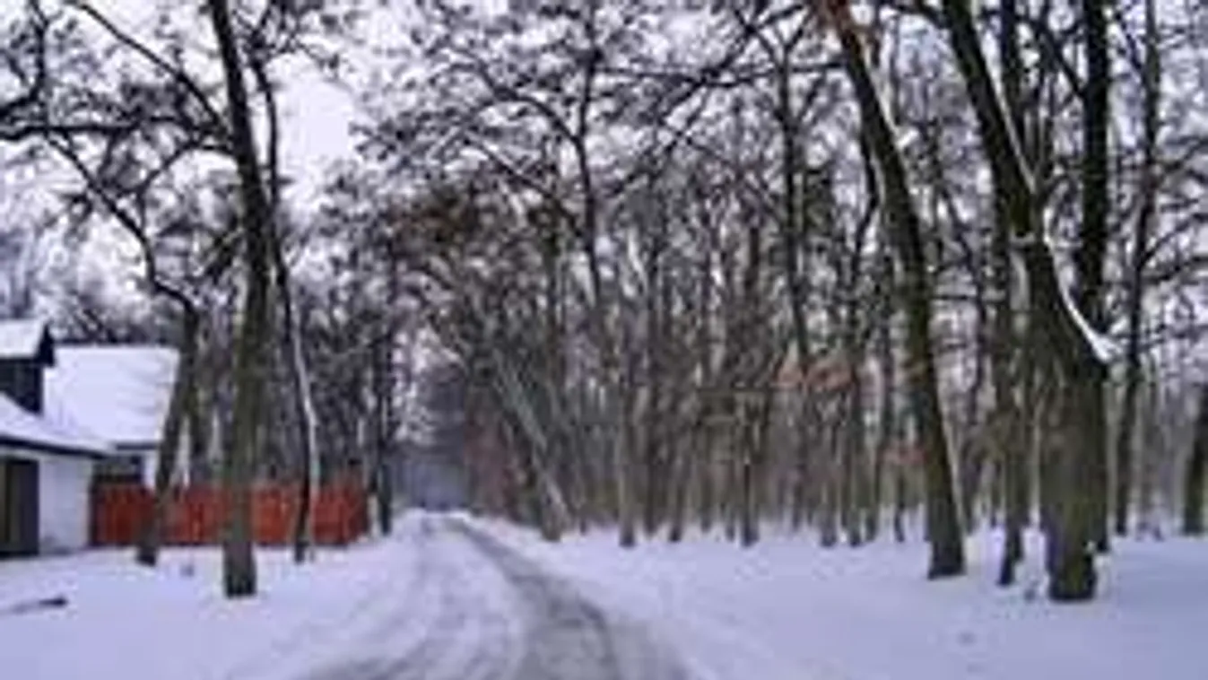 Napsütéses fagy vagy sűrű hótakaró? Mire számíthatunk?