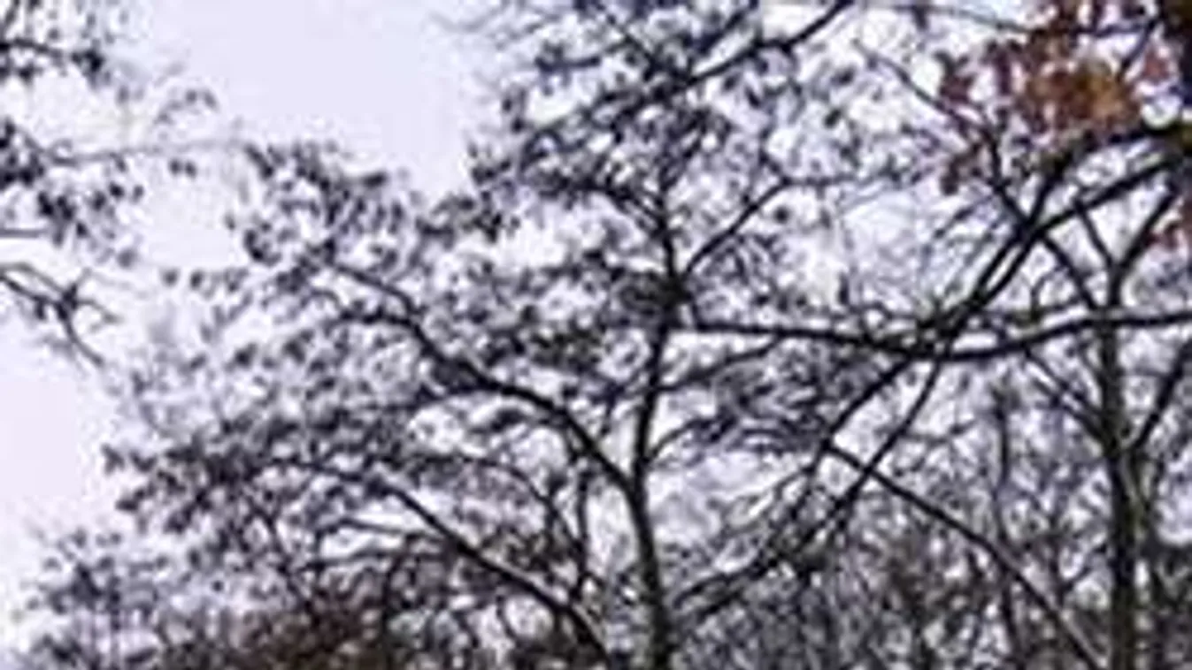 Kegyetlen hideg szakad ránk, az idei tél negatív csúcsát hozza az időjárás