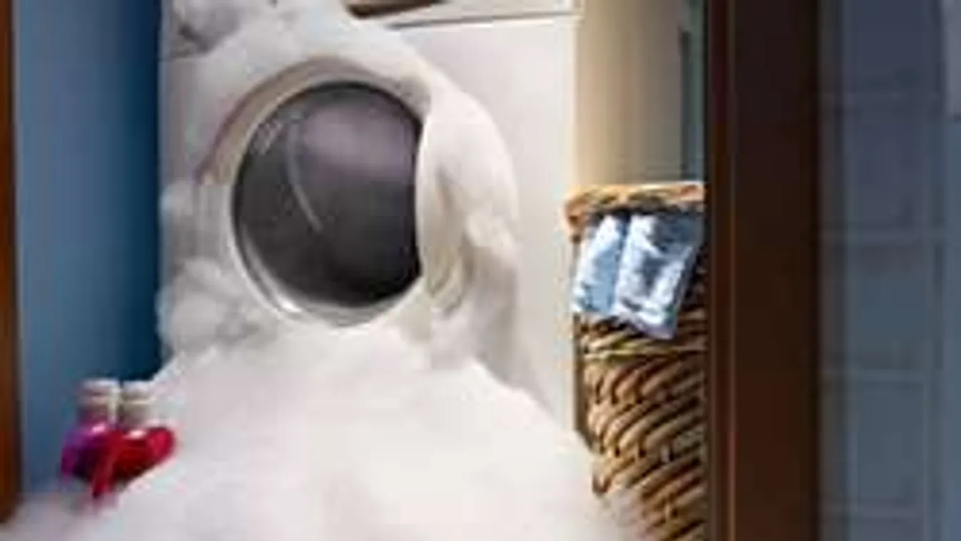 Kis híján beleőrült: kimosta a millárdokat érő lottószelvényt!