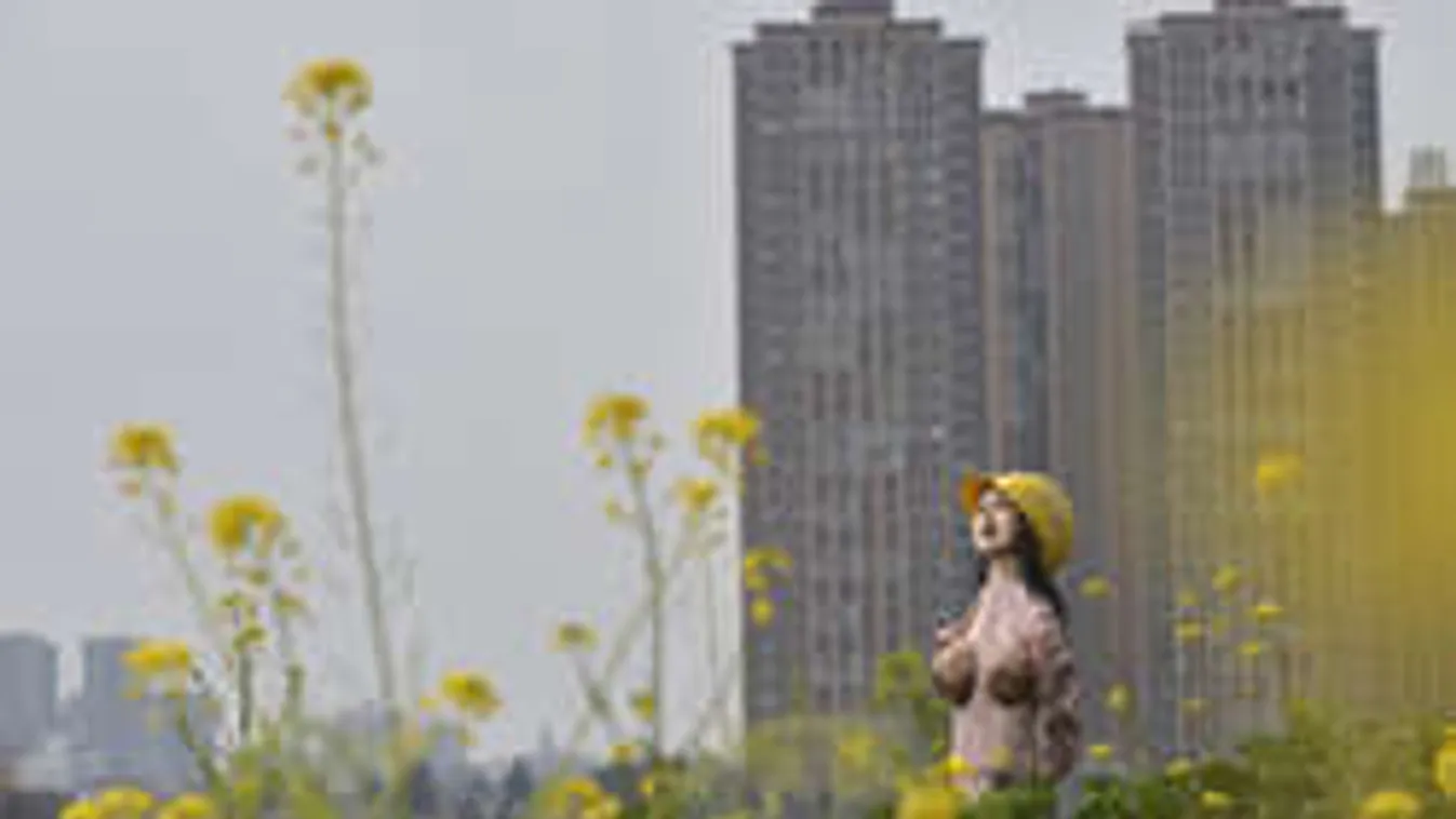 Szexbabákkal védi repceföldjét egy kínai farmer!