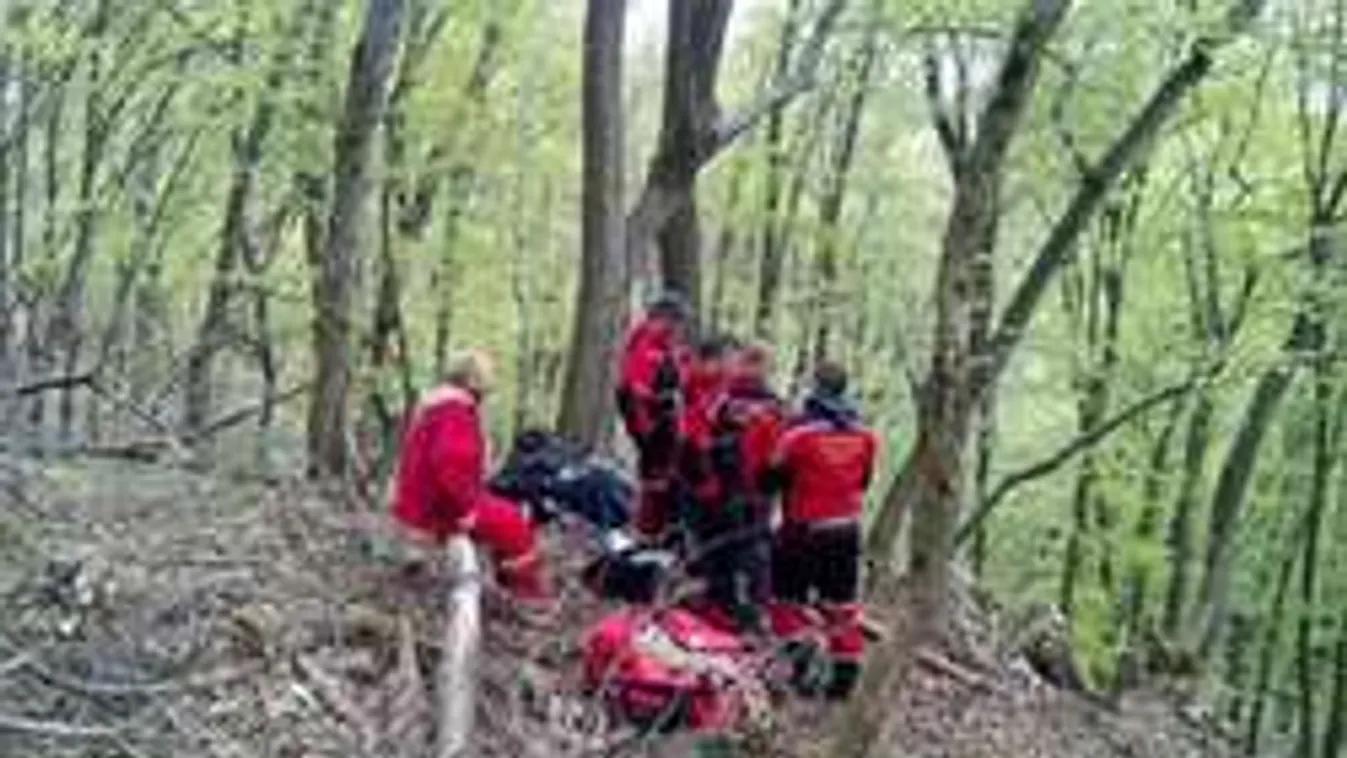 Amikor a család már tehetetlen: Így keresik az eltűnteket