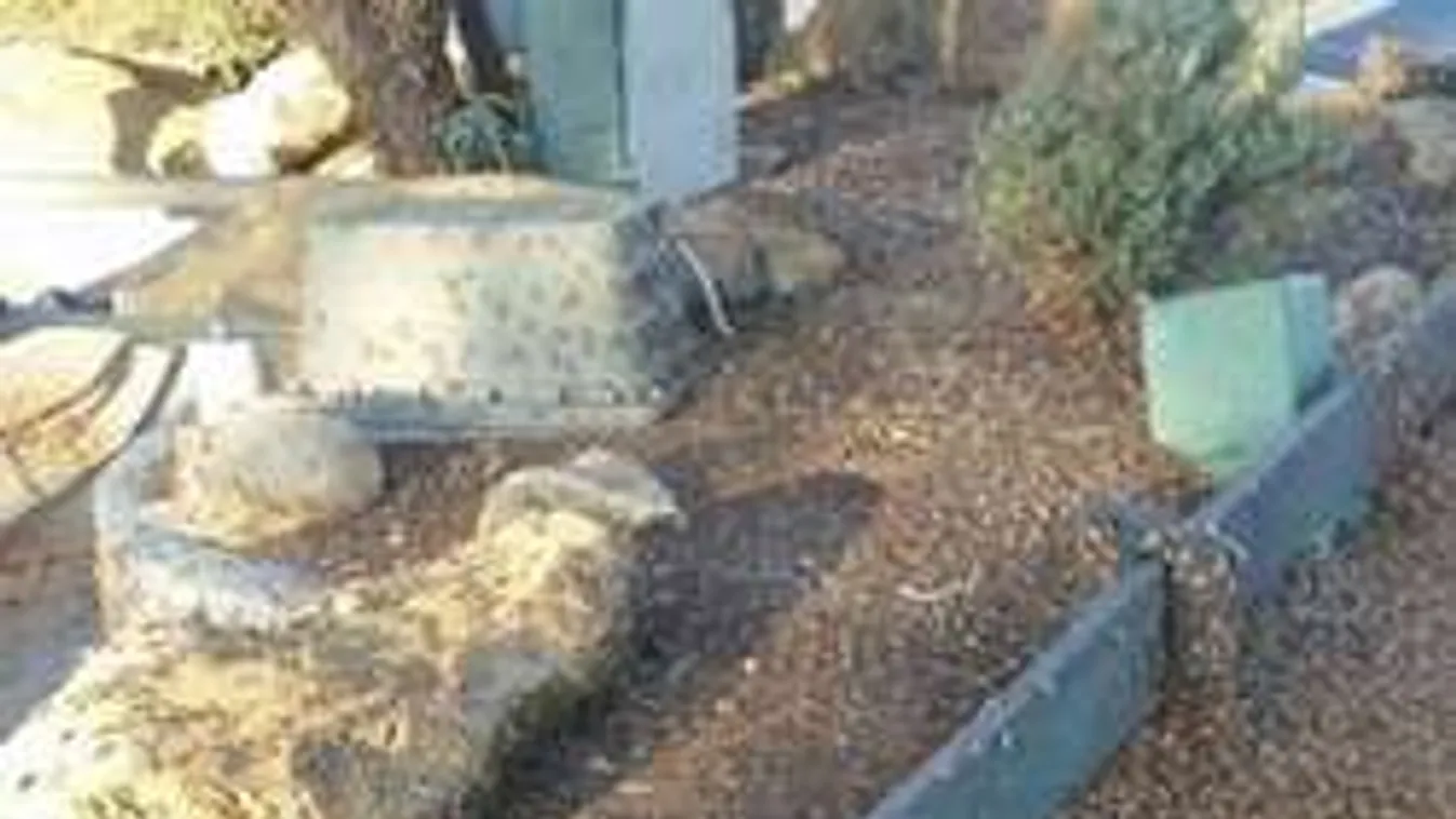 Ilyen lepkeinváziót csak rémálmaidban látsz! - videó