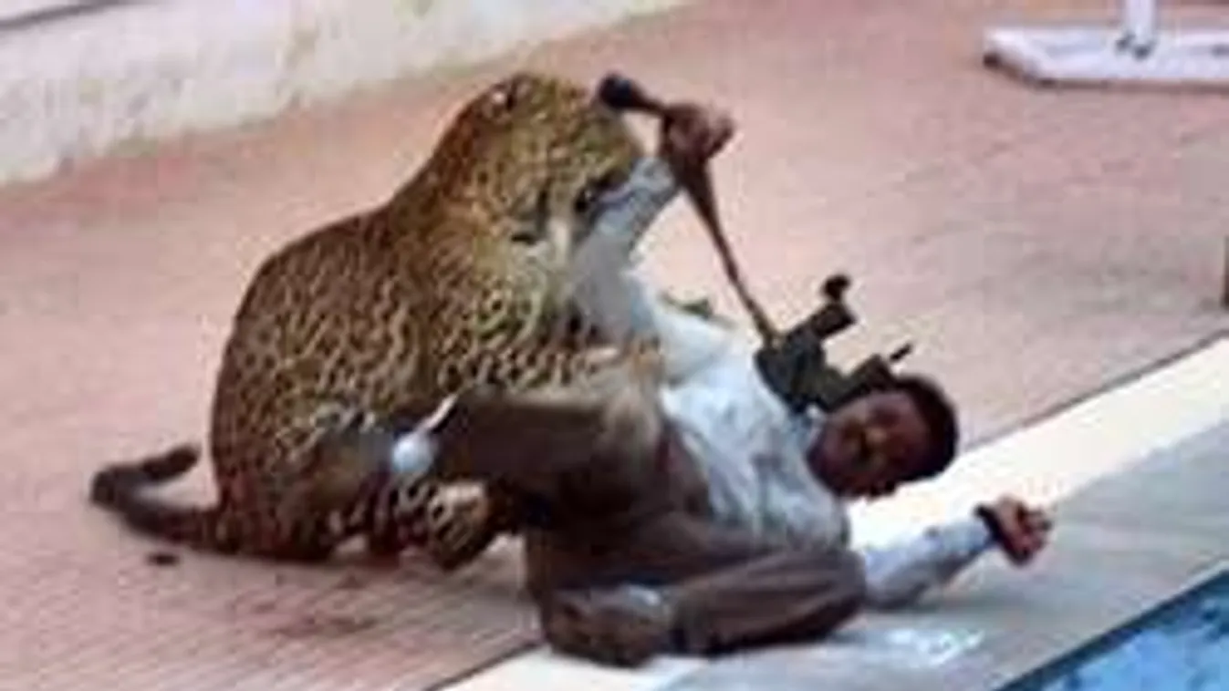 Véres küzdelmet vívtak egy leopárddal egy indiai iskolában! - Videó