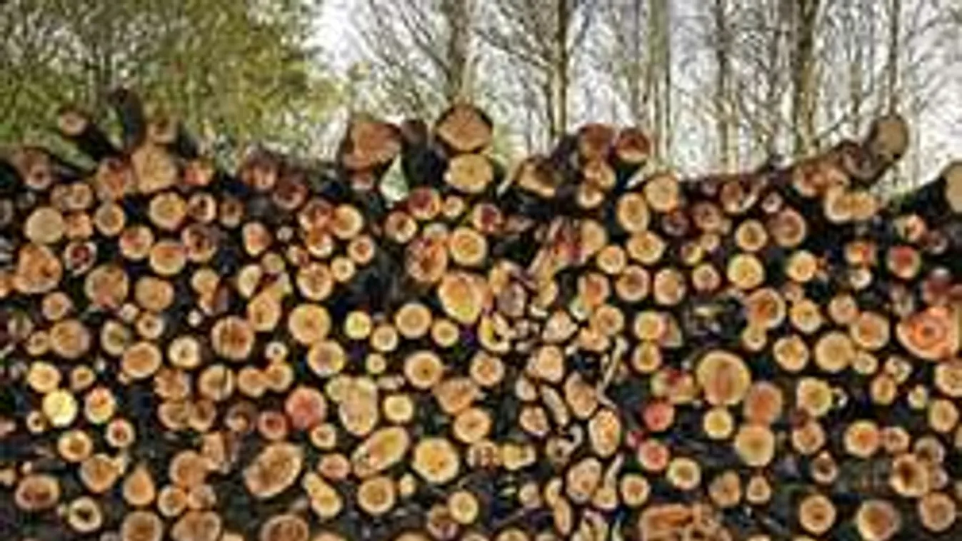 Mennyire látsz a dolgok mögé? Teszteld magad!