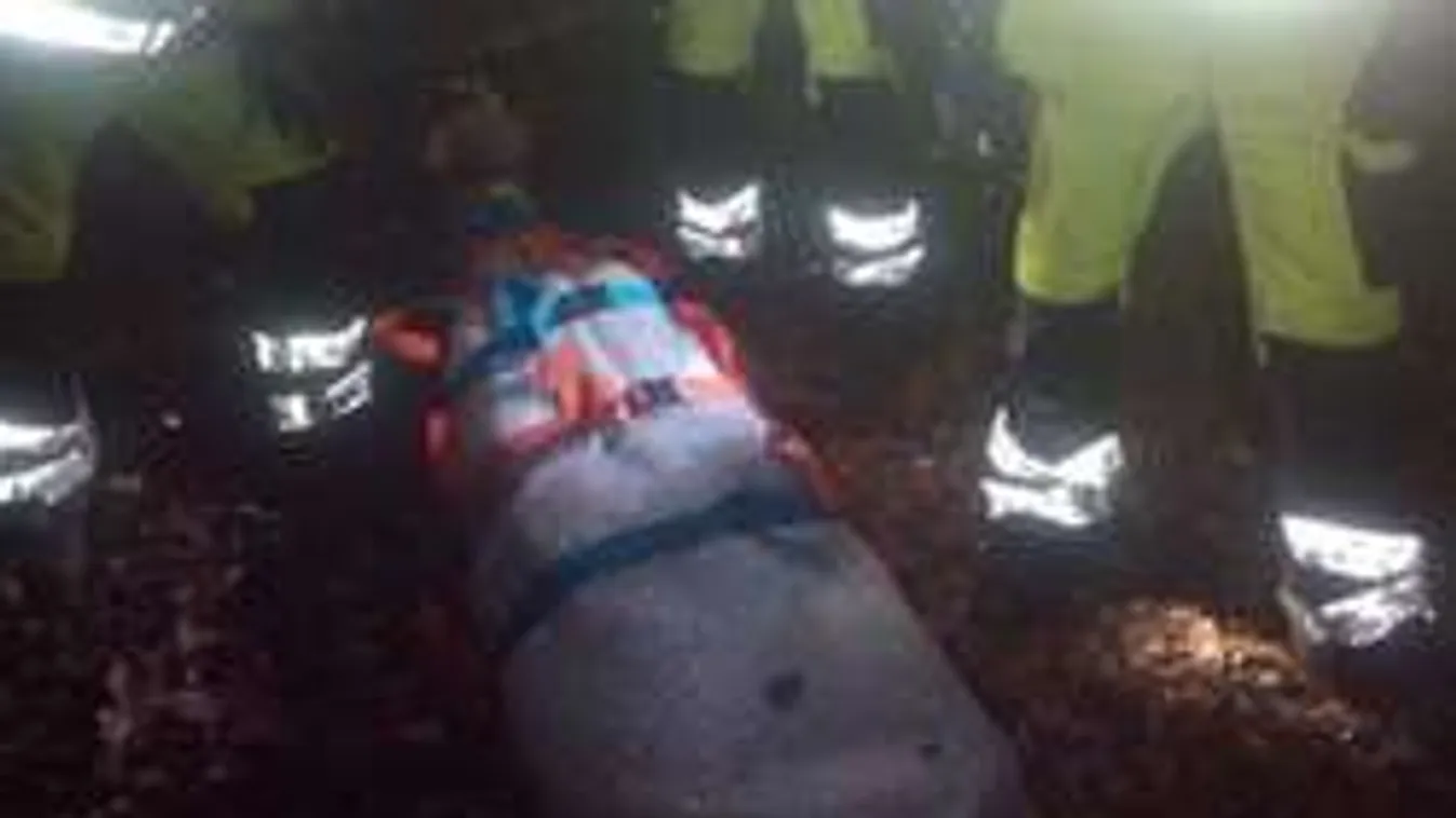 Fél éve halott férfi testére bukkantak a visegrádi erdő mélyén - Fotók