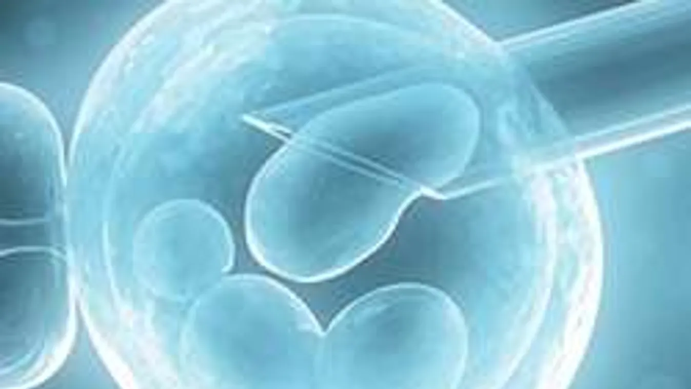 Egy nő megszülné öt éve halott lánya gyermekét!