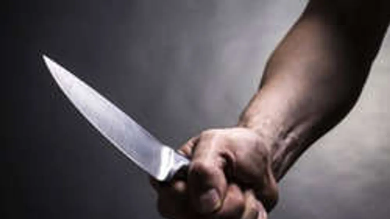 Feladta magát a késelős gyilkosság női gyanúsítottja!