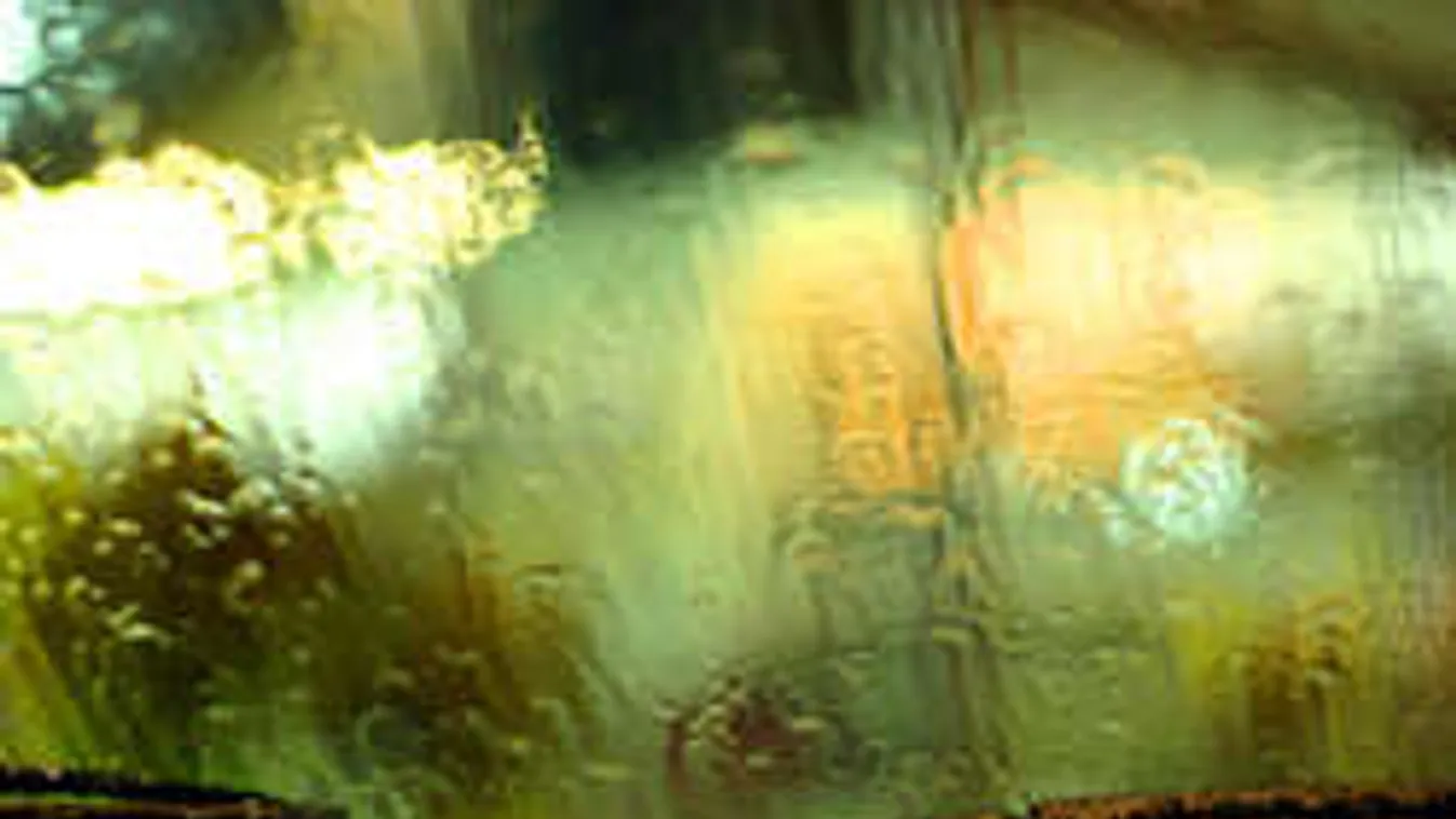 Hullámvasúton az időjárás, újabb elképesztő változás várható!