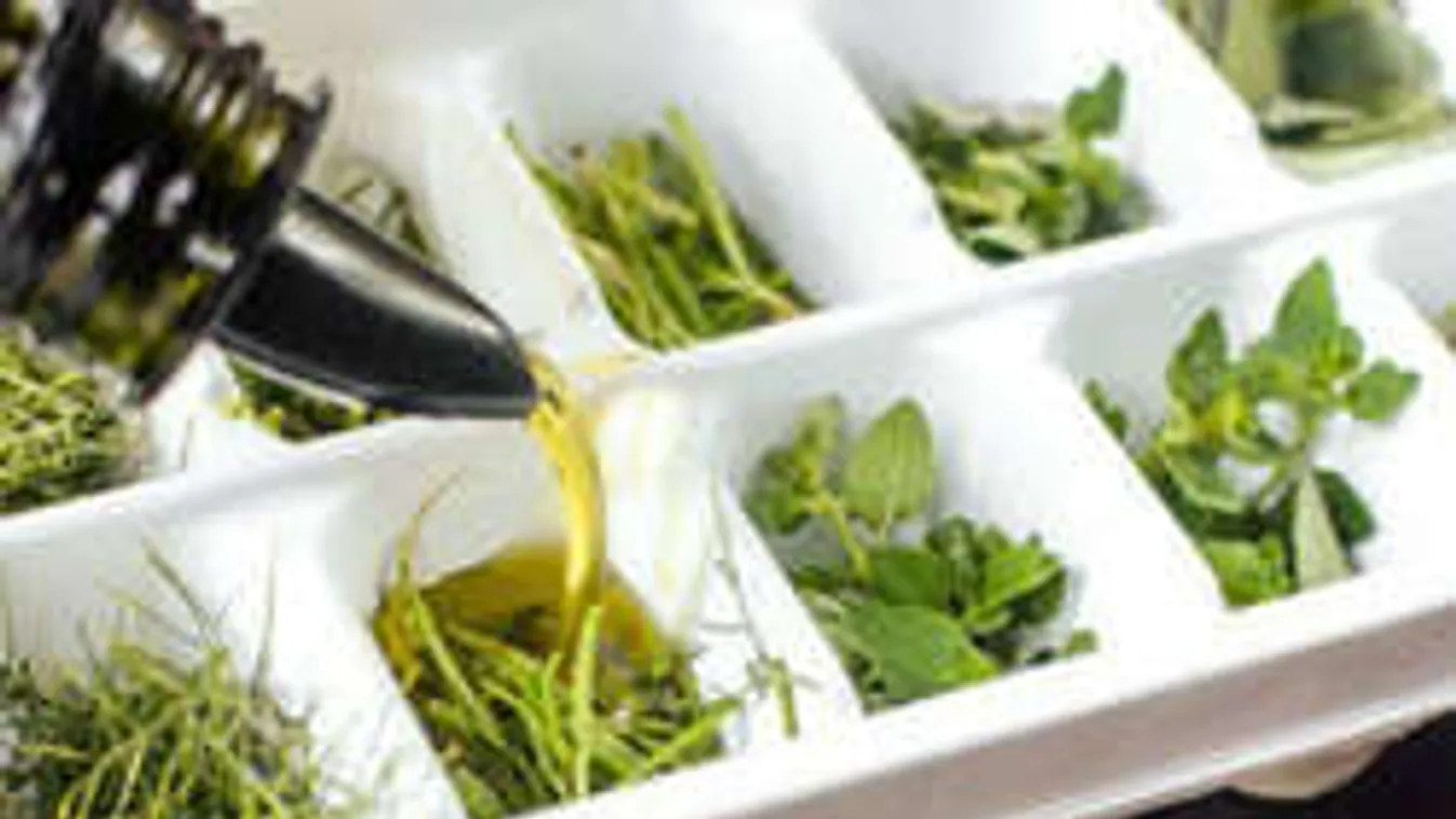 Így segít a jégkockatartó a hatékony fogyókúrában! Ezt ki kell próbálnod