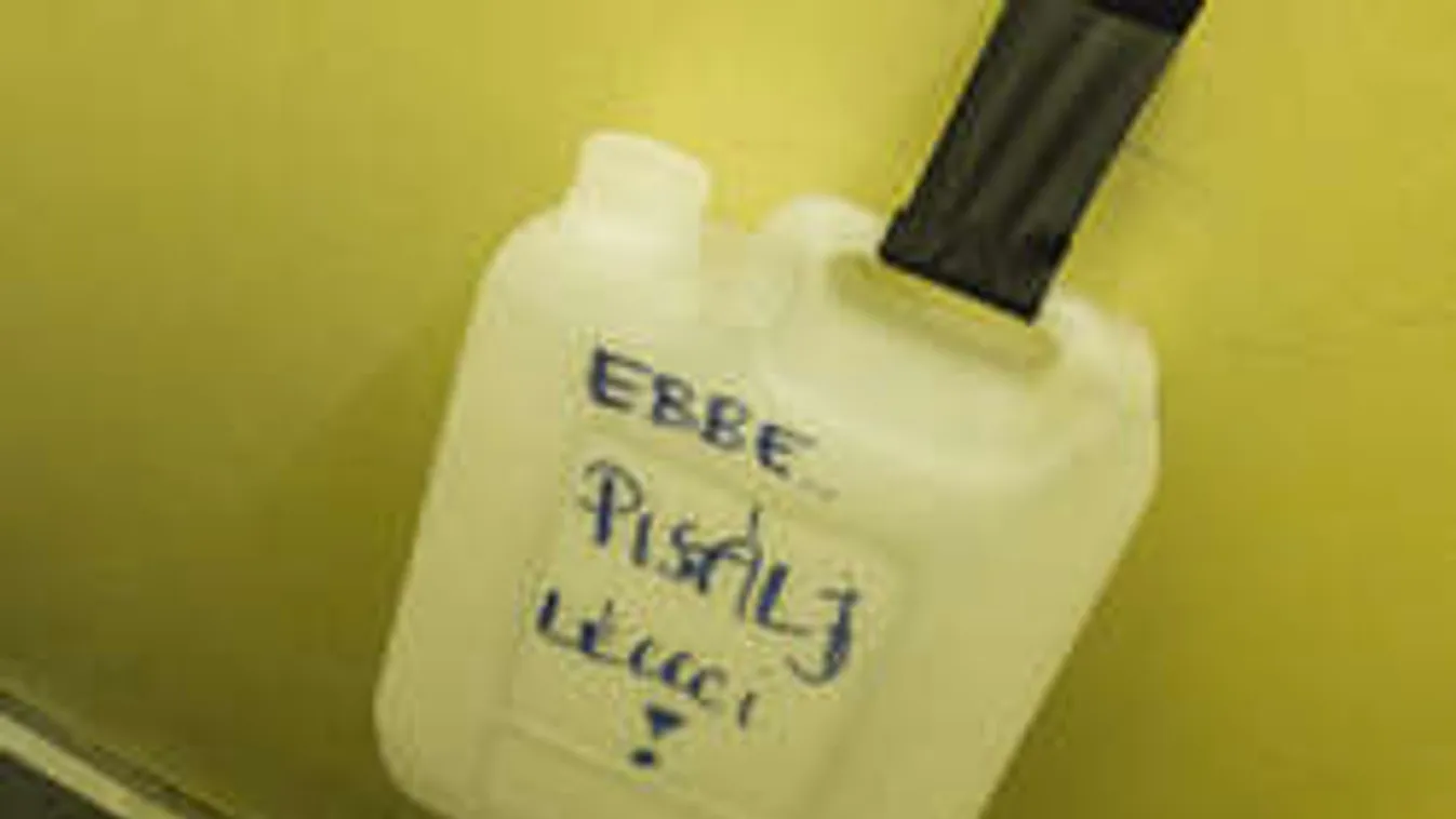 Tényleg ekkora paraszt vagy? Erre a bunkóra vadásznak a Havannán!