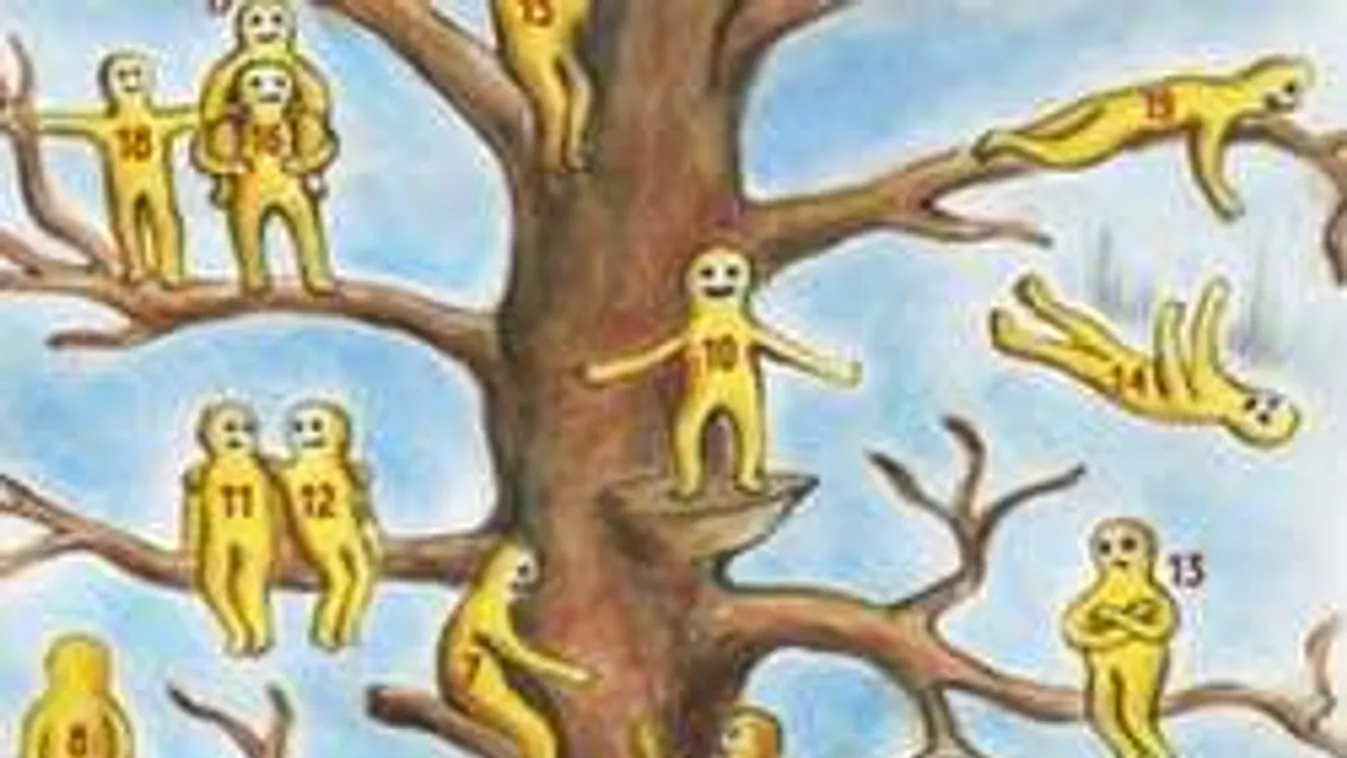 Nagy személyiségteszt: te melyik ember vagy ezen a fán?