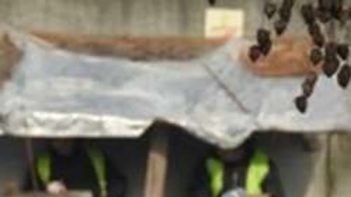 Rejtély a ferihegyi gyorsforgalmin!