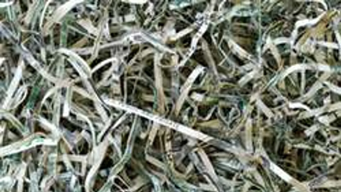 Bekattant a nyugdíjas: eladta a házát, majd ledarálta a pénzt!