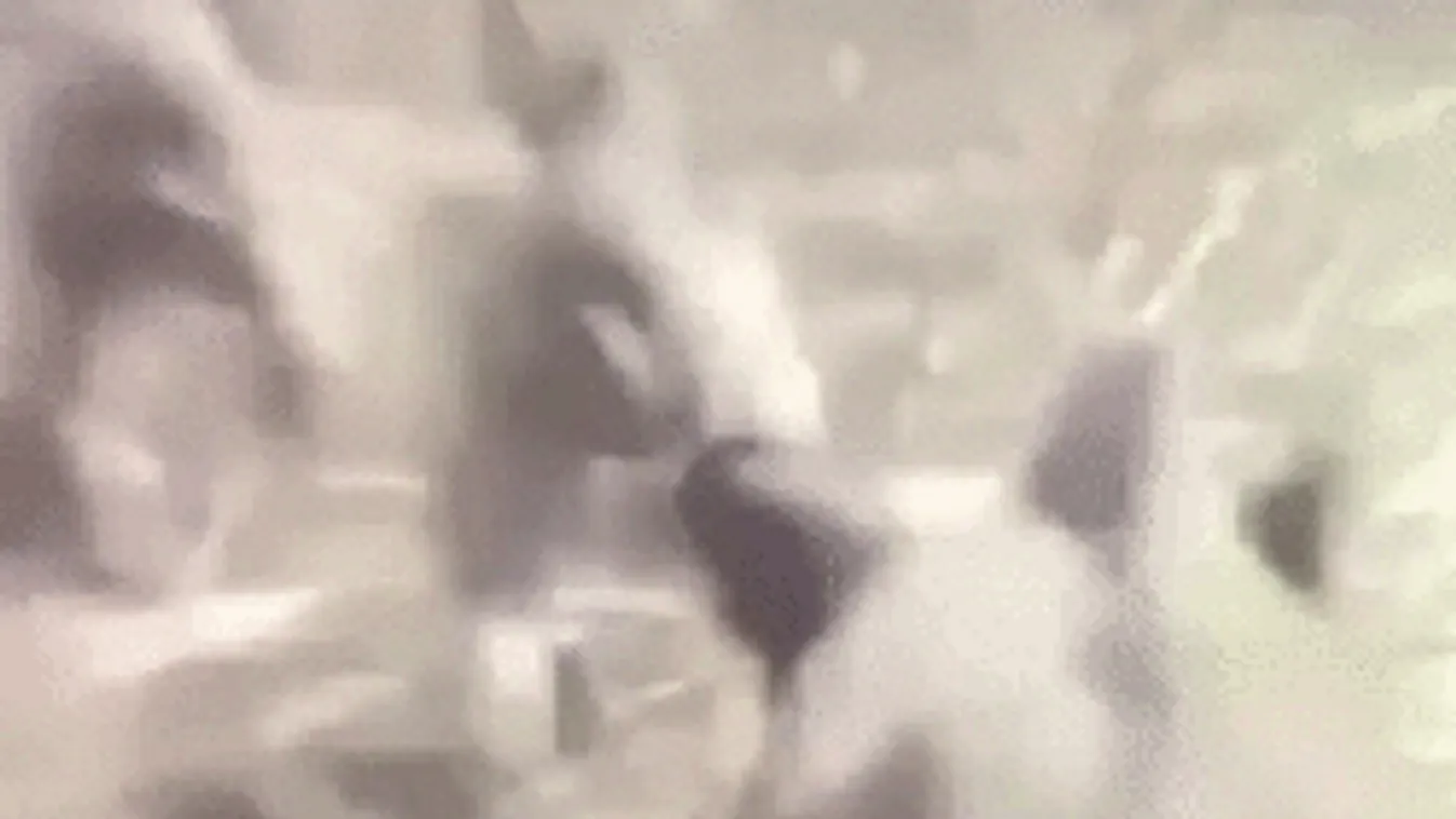 Heves vágta: ketten lovagolták meg a kanmalacot - Videó