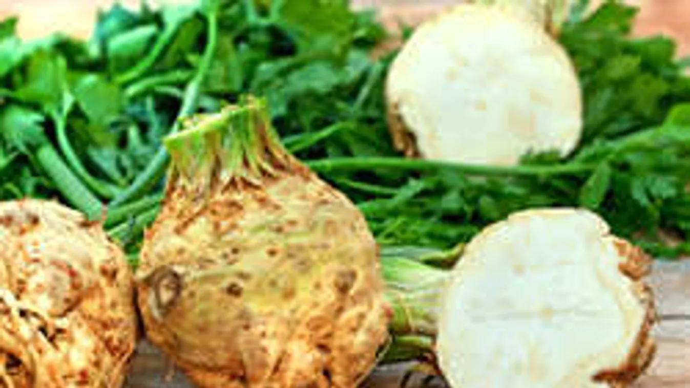 Az egészség új csodafegyvere a zeller! Kilófaló receptek!