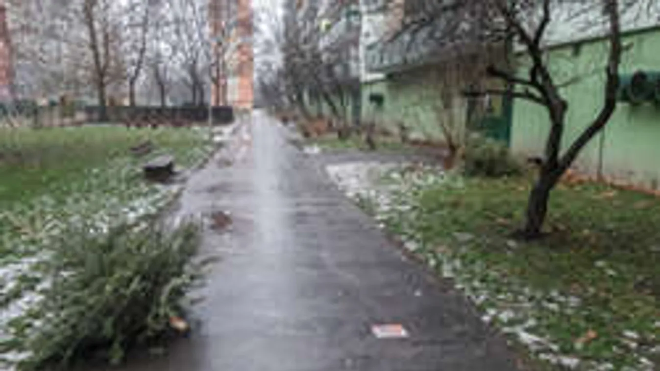 Tavaszt ígért az időjárás, de csalódni fogsz: bedurvul a február