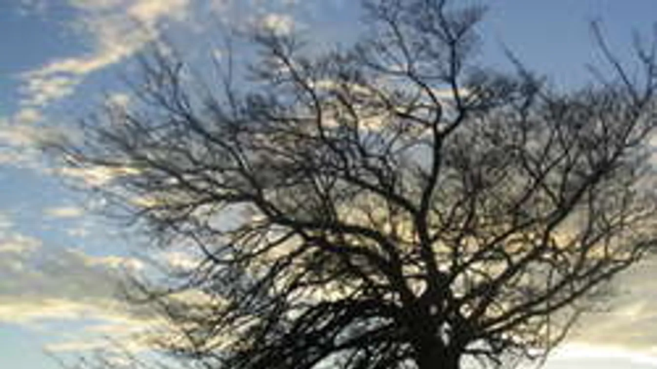 Rettenetes játékba kezdett az időjárás, szétszabják egymást a frontok