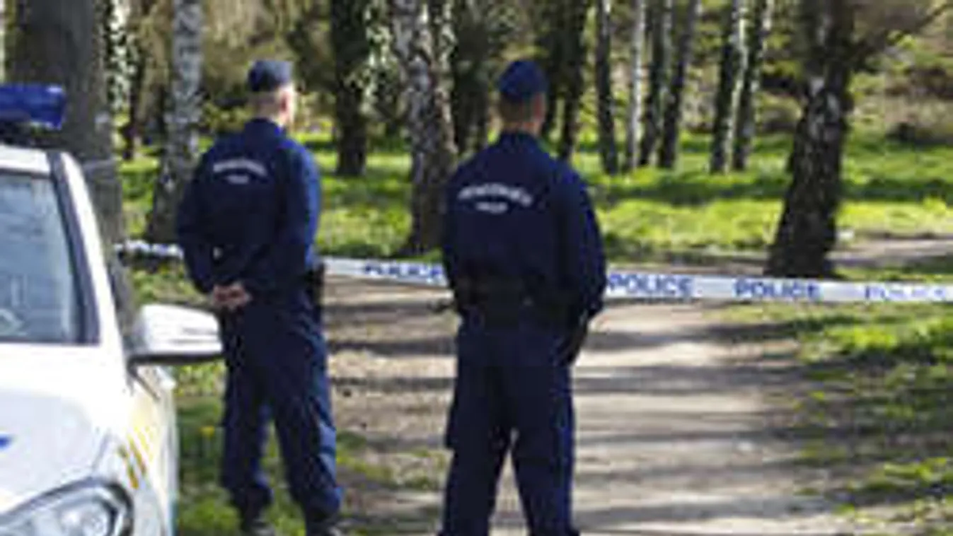 Meglepő fordulat a zalaegerszegi késelő ügyében