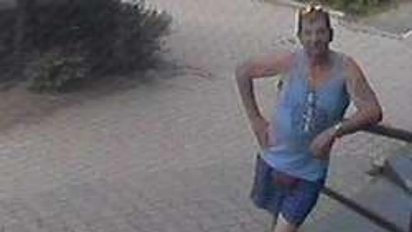 Így pózolt a kamerának a nagytarcsai tolvaj! - Fotó