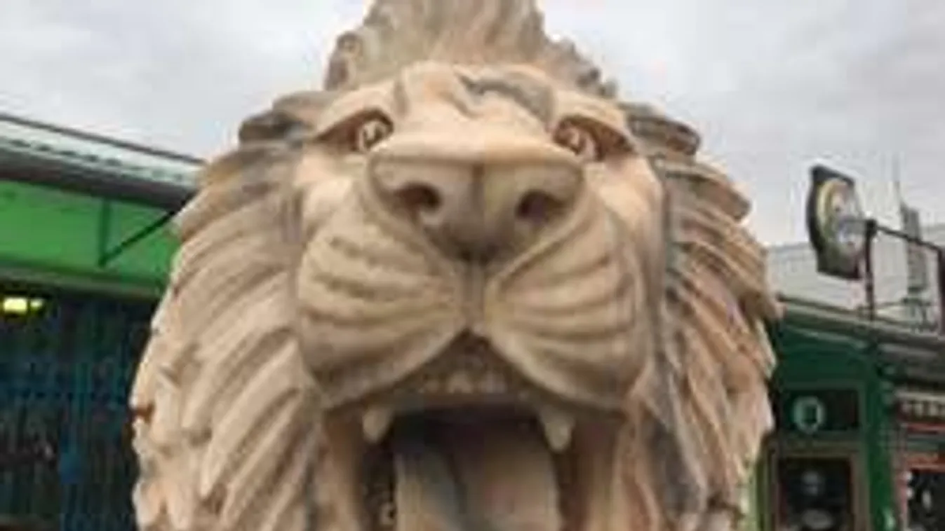 Emberfogú oroszlánok vették át a hatalmat az Ecseri piacon