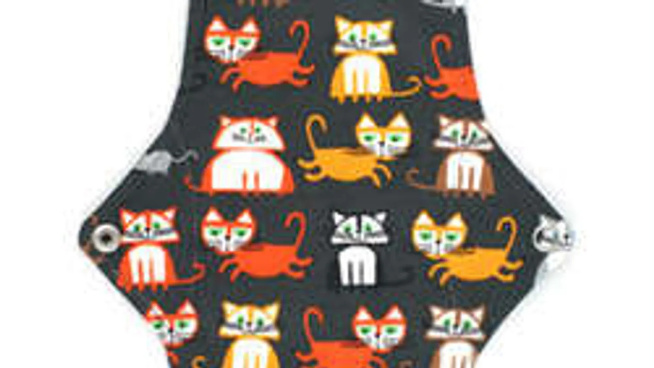 "Az én vérem, az én betétem!" Mosható intim betét mellett kampányolnak