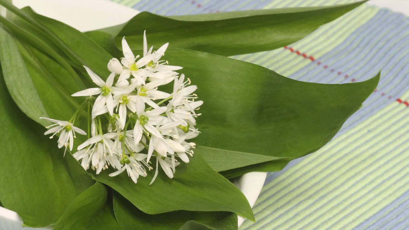 Felejtsd el a fokhagymát, jobbat mutatunk!