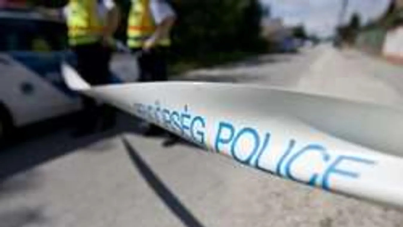 Halálra verte idős édesanyját a budapesti nő