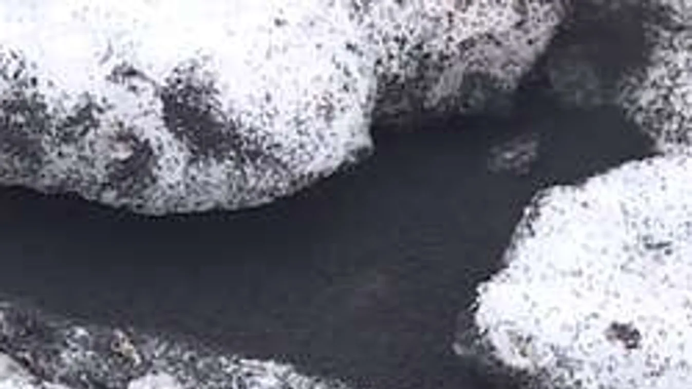 Ilyen félelmetes téli rovarinváziót még nem láttál! - Videó