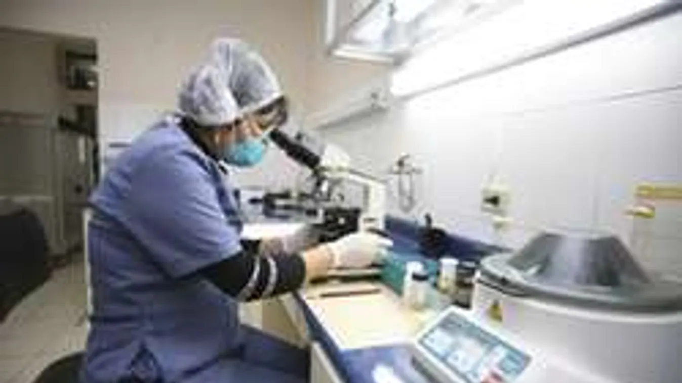 Végzetes génmódosítás okozhatta a zikavírus berobbanását