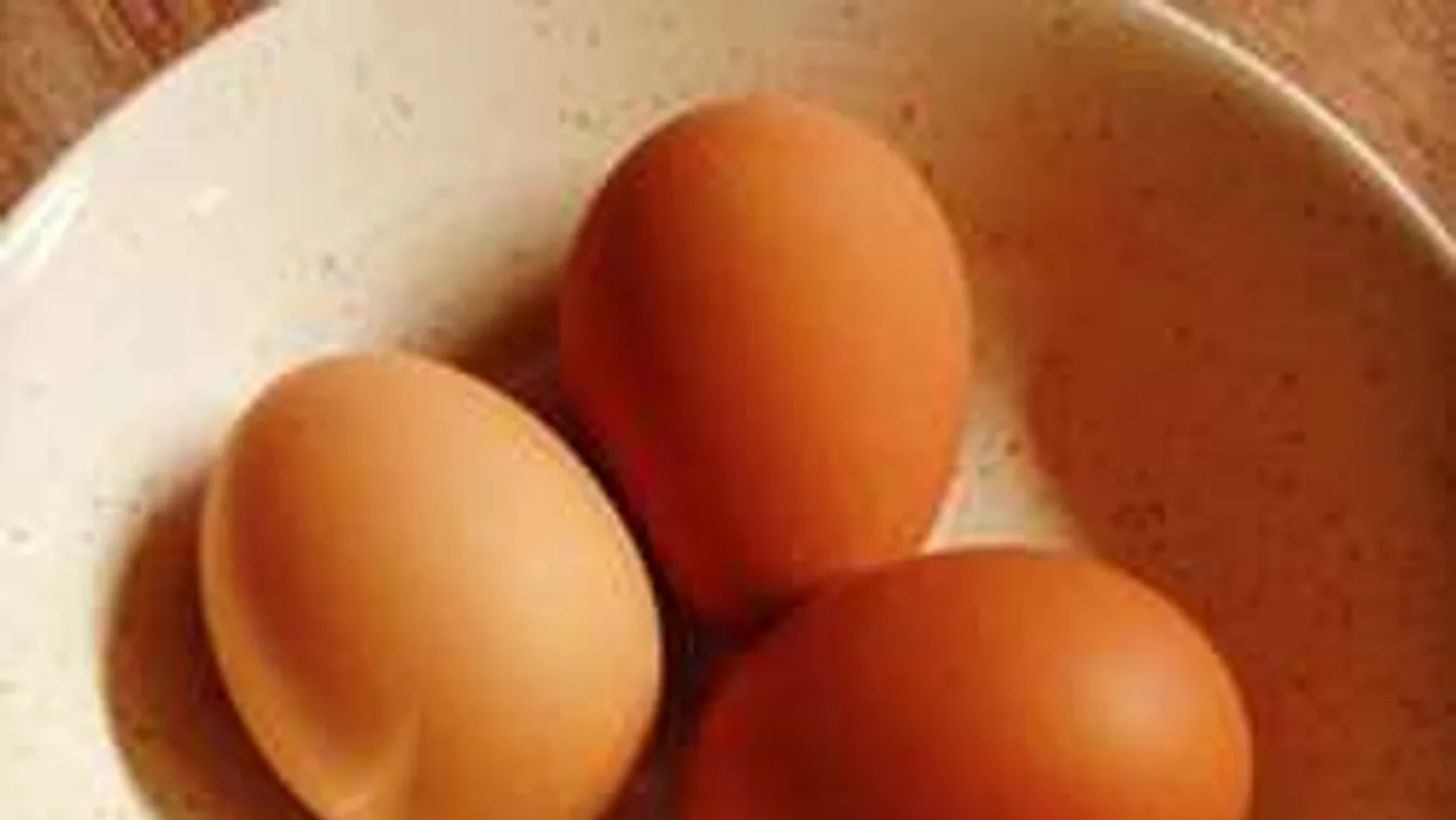 Mit keres a tojás az állad alatt?
